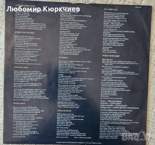 Alison Moyet - ALF / 1984, снимка 4 - Грамофонни плочи - 39741742