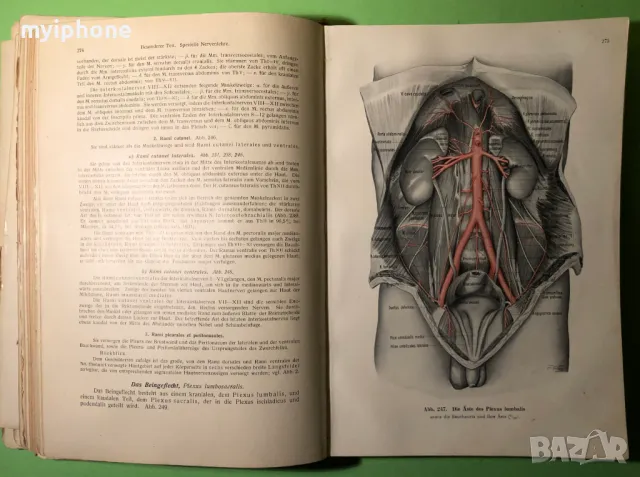 Стара Книга Анатомия ма Човека /Rauber Kopsch, снимка 8 - Специализирана литература - 49218517