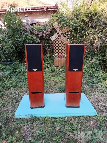 Тонколони Hi-End Usher V-602, снимка 3 - Тонколони - 52171299