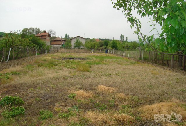 Продавам УПИ-с. Мурсалево-обл.Кюстендил., снимка 4 - Парцели - 30021733