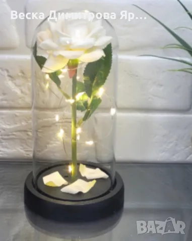 Бяла роза под стъклен купол - Вечна елегантност, снимка 5 - Декорация за дома - 48682938