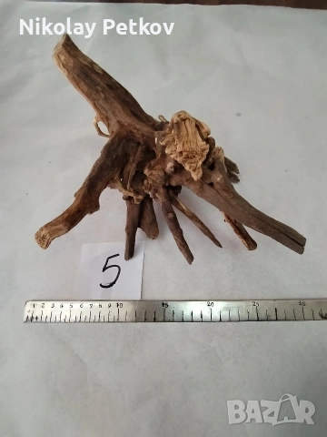 Корени за аквариум, терариум, паладиум , снимка 3 - Аквариуми - 44083269