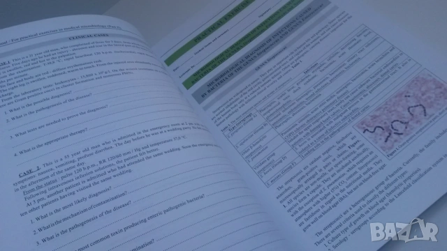 Микробиология - Manual for practical exercises in medical microbiology Part II - Митов, 2020, снимка 6 - Учебници, учебни тетрадки - 54084477