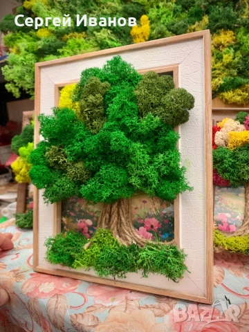 Картина с жив мъх 21х26 – ръчна изработка, уникален подарък, снимка 2 - Картини - 54216289