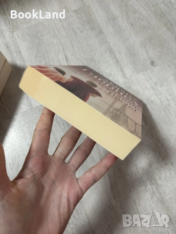 Лека нощ, Виена | Мариус Габриел , снимка 5 - Художествена литература - 56545286