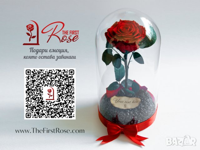 Вечна Роза в ГОЛЯМА стъкленица / Уникален Подарък за Жена / Естествена Вечна роза Подарък за Момиче, снимка 3 - Други - 34470627