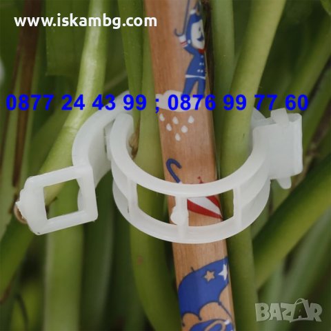 50 броя щипка - клипс за подържане на домати и растения - КОД 3691, снимка 3 - Други - 36674902