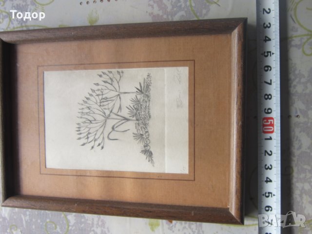Стара картина офорт гравюра  подписана 1983, снимка 2 - Картини - 31830381