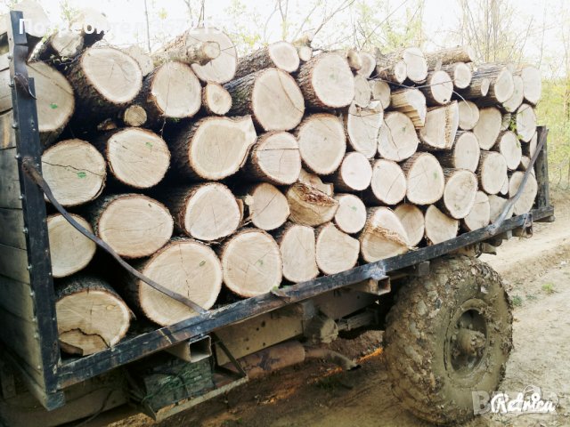 Продавам дърва за огрев, снимка 2 - Дърва за огрев - 40140915