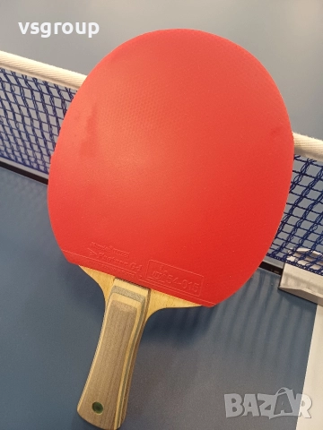 Butterfly Viskaria FL + гуми Nittaku Fastarc G 1