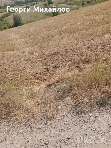  Земеделска земя, 4 дка, категория 8 , снимка 2 - Земеделска земя - 50755747
