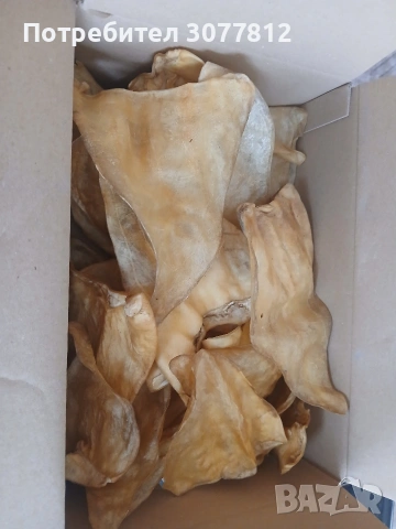 Премиум свински уши за кучета, снимка 3 - За кучета - 53189716