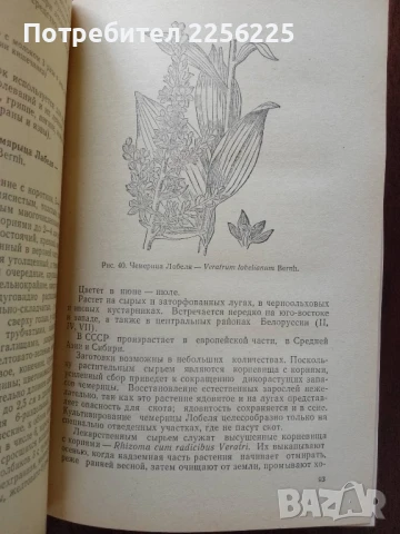 Лекарствени растения, снимка 2 - Специализирана литература - 50614346