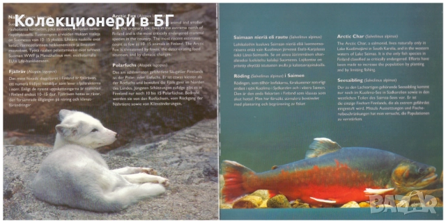 СЕТ ЕВРОМОНЕТИ И ПЛАКЕТ ОТ ФИНЛАНДИЯ 2005 /виж описанието/, снимка 11 - Нумизматика и бонистика - 52966433