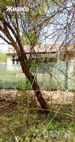 продажба на недвижим имот в землището на село Малка Верея , снимка 4 - Парцели - 55729502