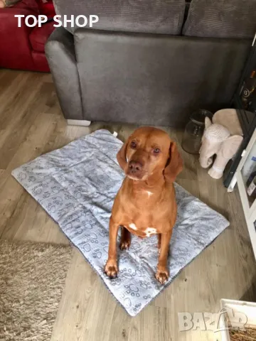 Матрак за малки/средни/големи кучета и котки FC014 (сив, 121 * 76 см), снимка 2 - За птици - 49866418