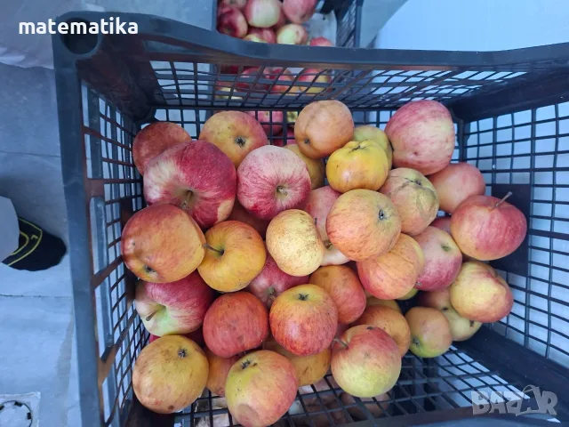 Продавам био ябълки без химия!, снимка 2 - Домашни продукти - 56436606