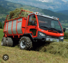 Емблема от Австрийски камион, Голяма и Релефна !!!, снимка 5