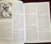 The Thames and Hudson Encyclopedia of the Italian Renaissance, снимка 8