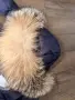 Оригинален MONCLER бебешки зимен космонавт 9м/12 м. с пух,качулка ,ботушки и колан, снимка 5