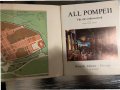 All Pompeii-Giovanna Magi, снимка 2