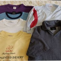 Мъжки тениски, тениска Philips, Esprit, Bershka,Polo,Boss, снимка 1 - Тениски - 37272135