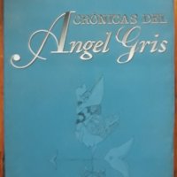 Cronicas del Angel Gris, Alejandro Dolina, снимка 1 - Художествена литература - 38796891