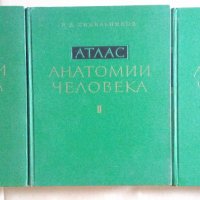Атлас анатомии человека 1,2,3 том Р.Д.Синельников, снимка 1 - Специализирана литература - 40217997