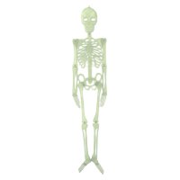Фосфорициращ скелет, 90 см, снимка 1 - Други - 42366968