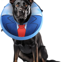 Надуваем нашийник за кучета за предпазване на рани и шевове след операция, (син, голям), снимка 1 - За кучета - 44620005