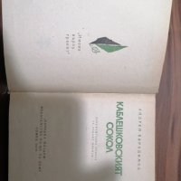 Андрей Карадимов - Каблешковският сокол, снимка 2 - Художествена литература - 39555685