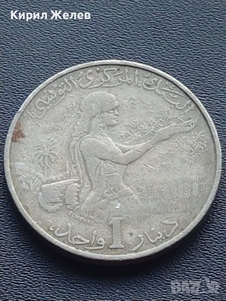 Монета 1 динарий 1976г. Тунис рядка за КОЛЕКЦИОНЕРИ 41115, снимка 1