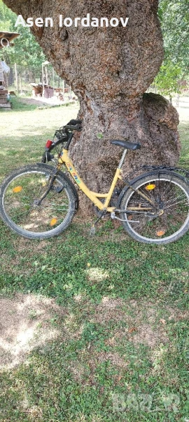 Колело 24 цола., снимка 1