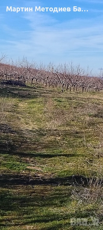 Овощна градина череши 14 декара и още 6 декара земеделска земя общо 20 декара има вода , снимка 1