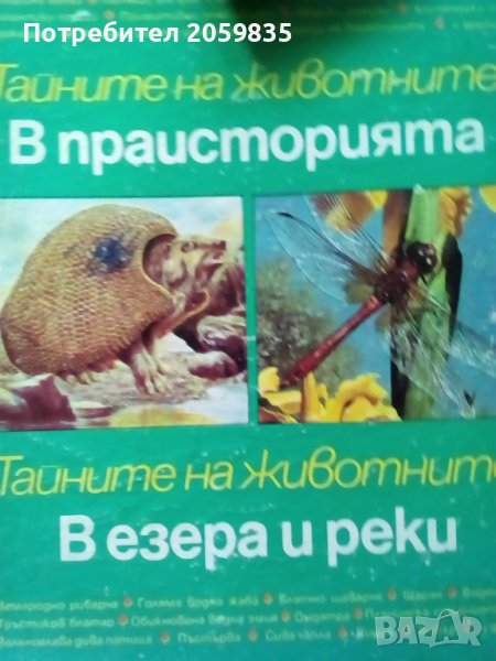 Стари комикси и детски книжки - 2, снимка 1