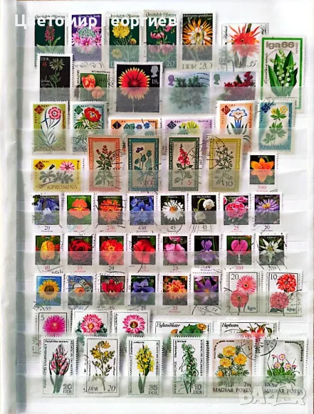 Пощенски марки цветя.130 бр.  К.1, снимка 1