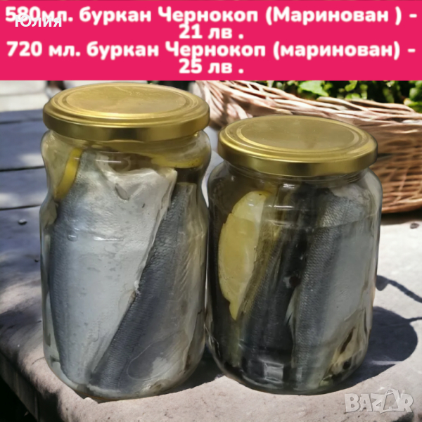 Риба - маринована Зарган , Чернокоп , Маринован Сафрид , Веян Паламуд , Паламуд лакерда ; , снимка 1