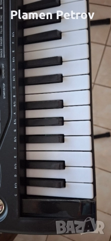 детски синтезатор и HOHNER хармоники , снимка 8 - Синтезатори - 51469975