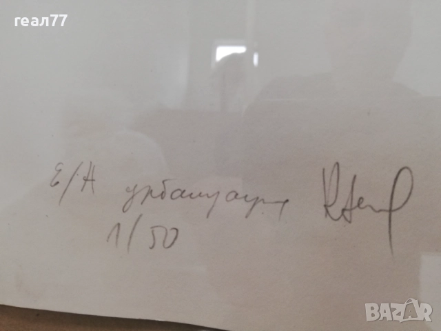 До 10.12.25!ОБЩА ЦЕНА, снимка 4 - Картини - 52513101