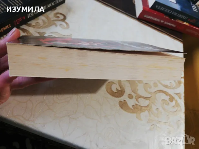 Изгорени мостове / Чуждото страдание - Вал Макдърмид, снимка 3 - Художествена литература - 49719152