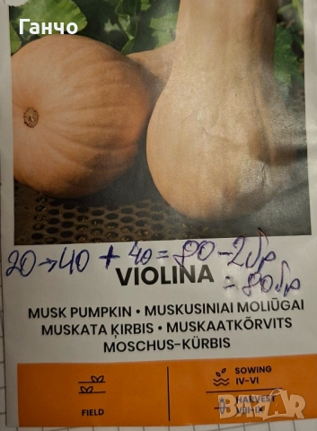 Семена за тиква-различни сортове, фасул - видове и царевица, снимка 2 - Сортови семена и луковици - 53135786