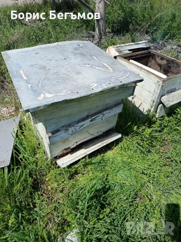 Кошери за пчели., снимка 5 - Други животни - 54258602