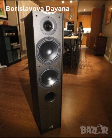 тонколони Cabasse MT3 Jersey , снимка 2 - Тонколони - 53197110