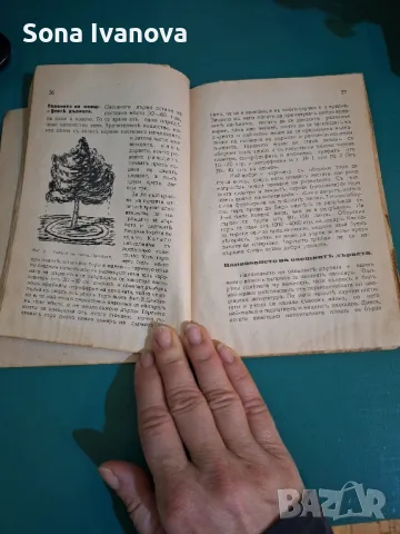 Какво трябва да знае всеки овощар - наръчник, снимка 3 - Специализирана литература - 48871506