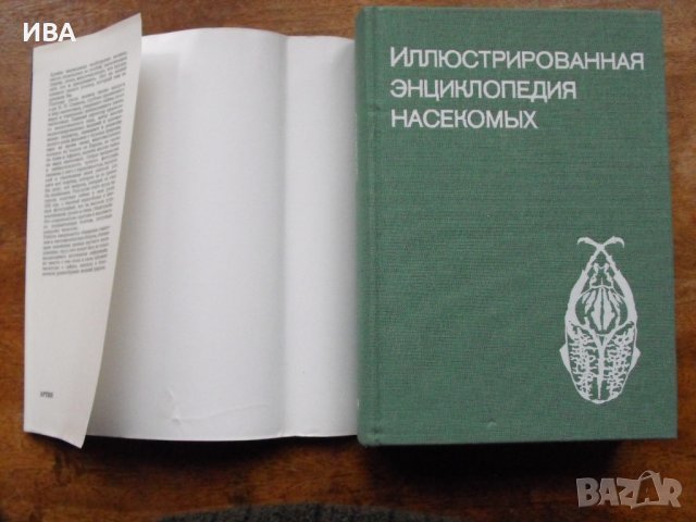 Иллюстрованная энциклопедия насекомых/на руски език/., снимка 2 - Енциклопедии, справочници - 39564849