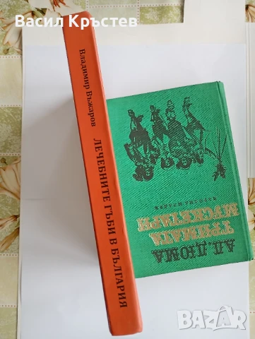 Книги 9 бр., - Лечебните гъби в България, - за билките 2 бр., БГ изкушения, - за юноши и др., снимка 3 - Специализирана литература - 51407194