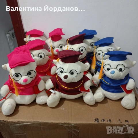 плюшени мечета 