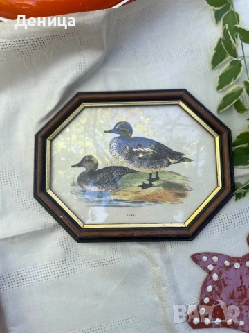 Рамкиран принт изобразяващ две синьо-зелени патици💙💚 
