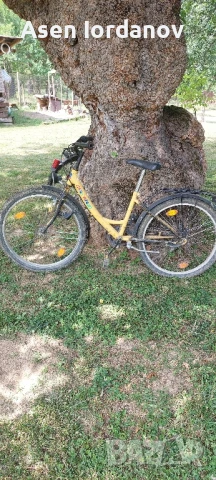 Колело 24 цола.