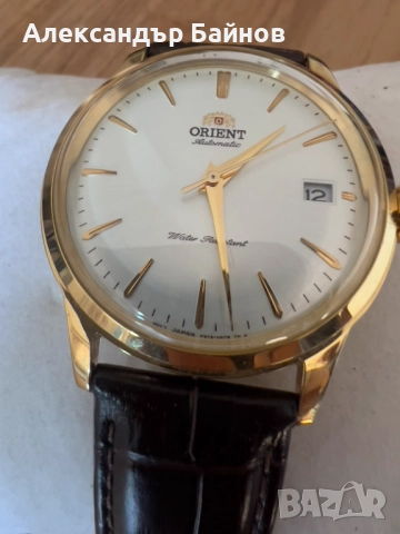 Orient bambino automatic